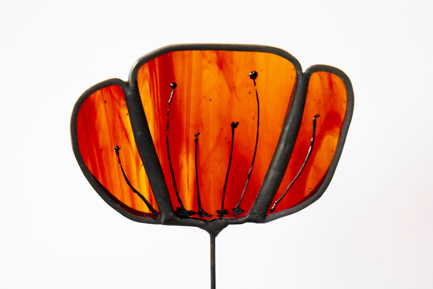 Clear Amber Flower with Black Edge
