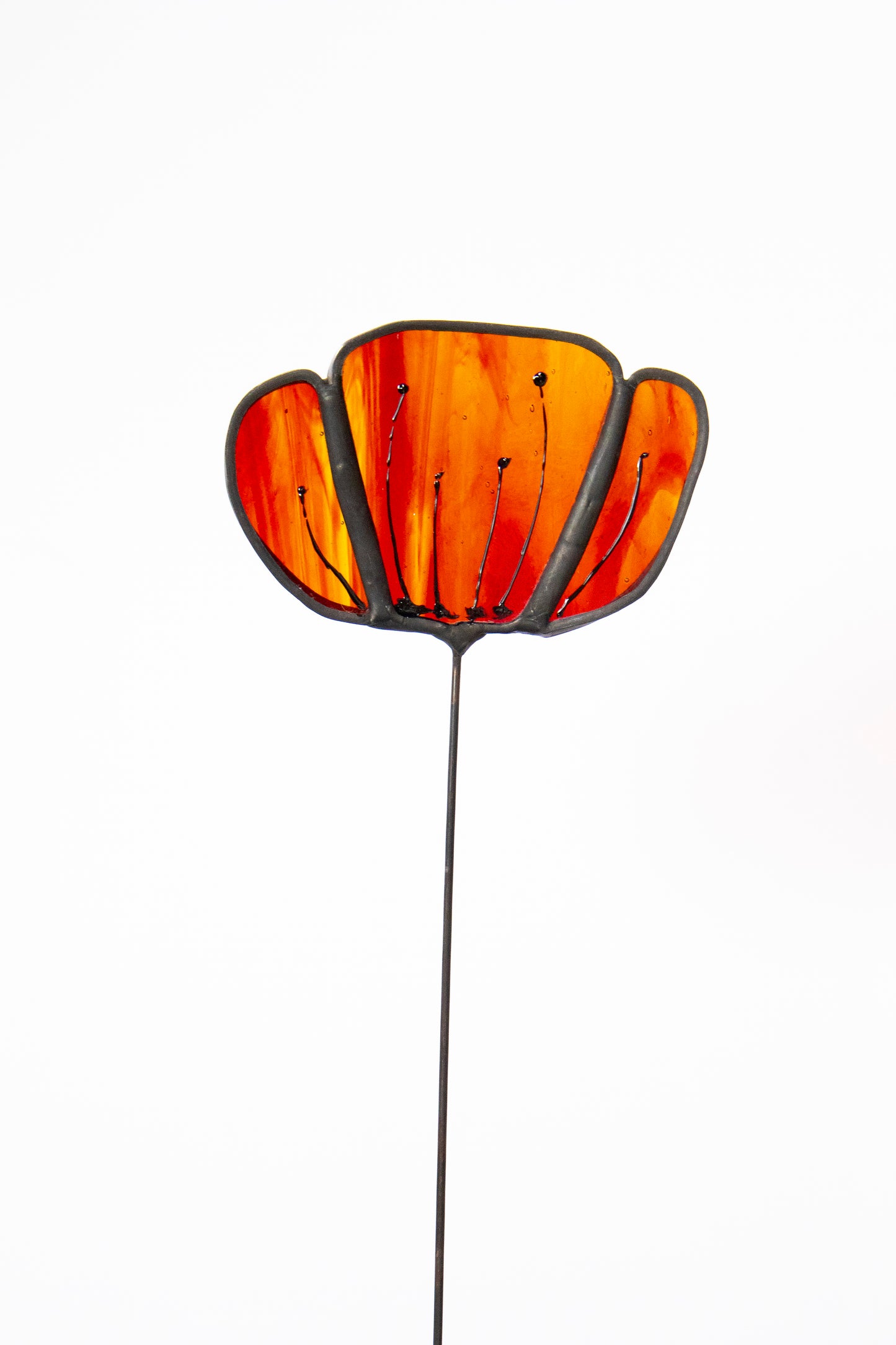 Clear Amber Flower with Black Edge