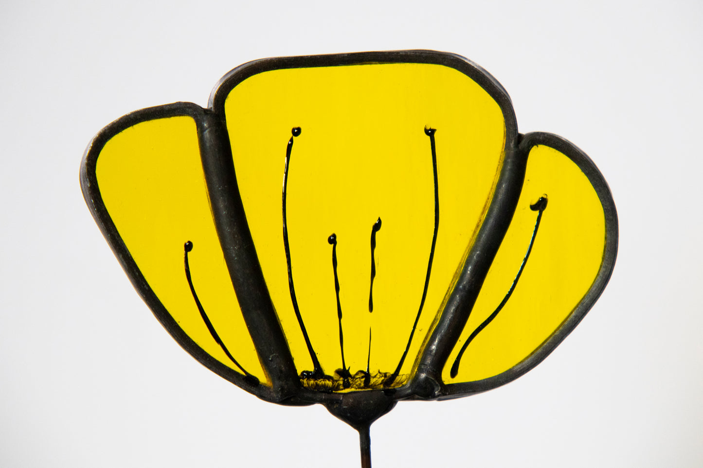 Clear Yellow Flower with Black Edge