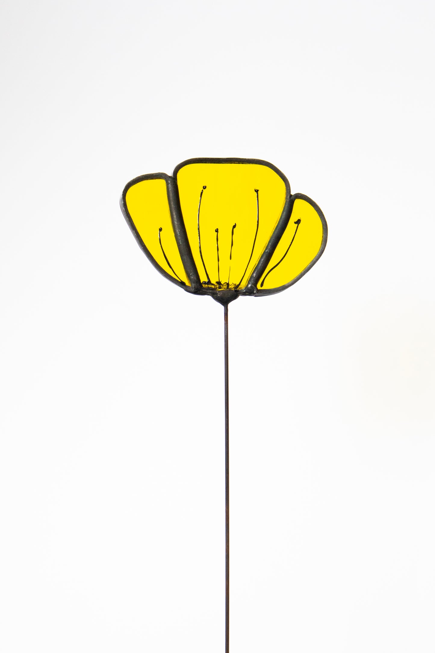 Clear Yellow Flower with Black Edge