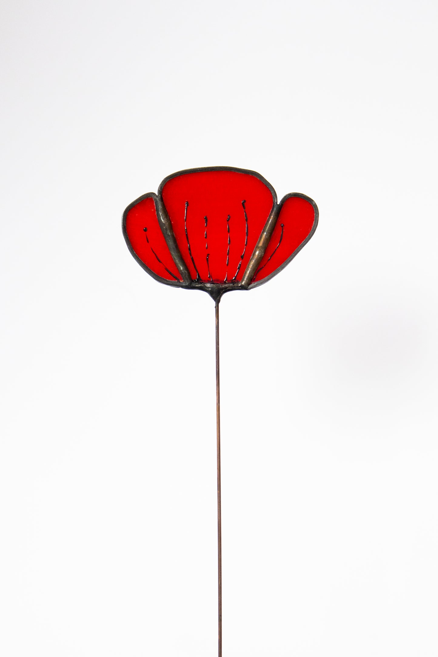 Opaque Red Flower with Black Edge