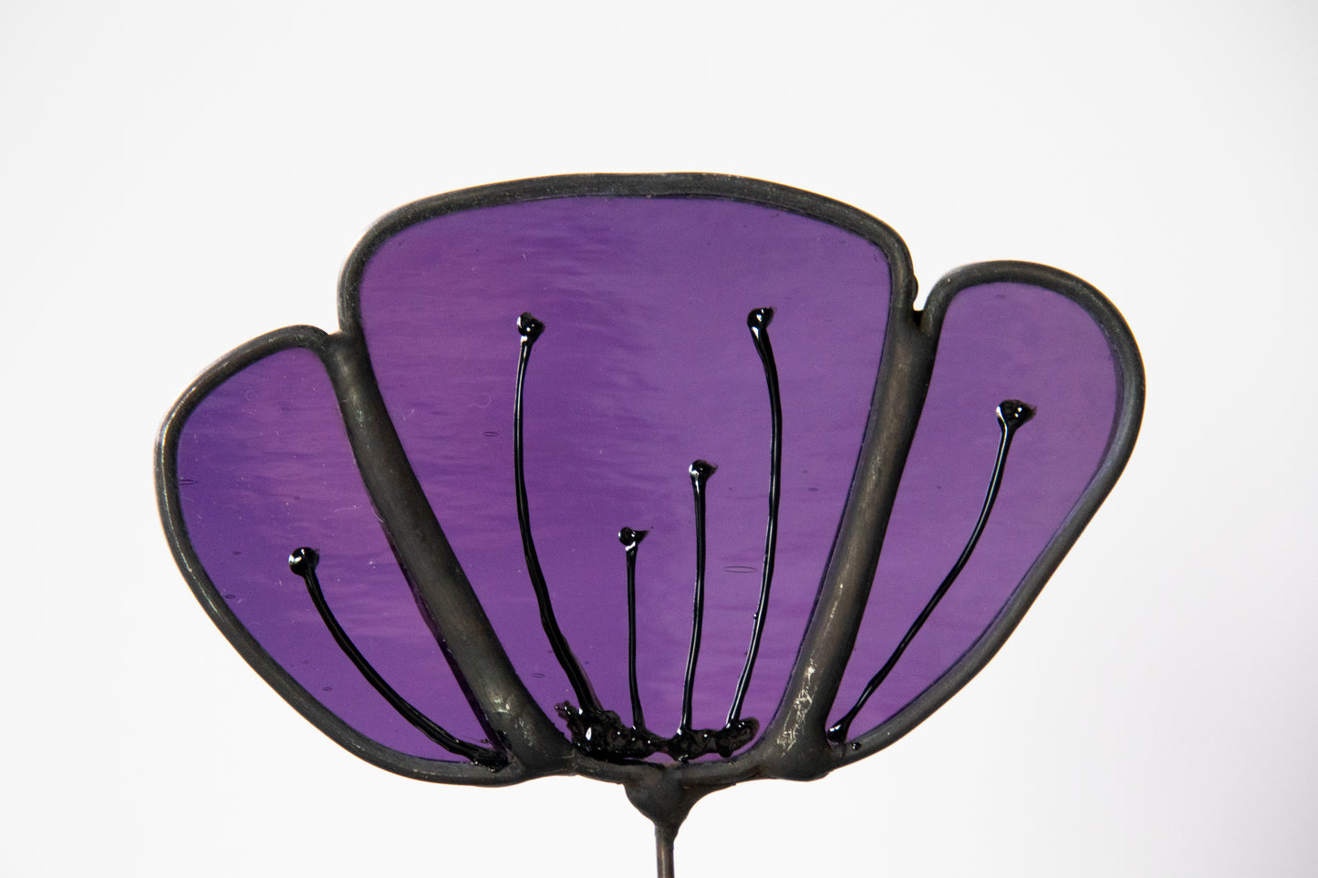 Clear Purple Flower with Black Edge