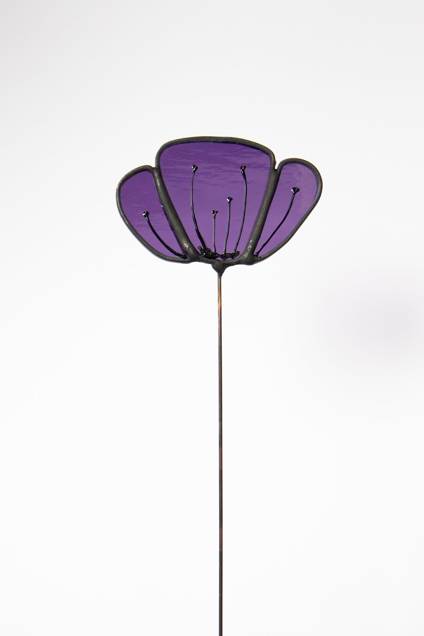 Clear Purple Flower with Black Edge
