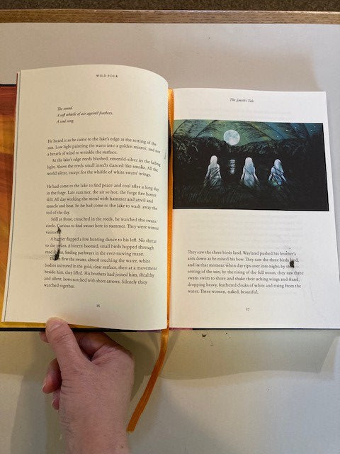 Wild Folk: Tales from the Stones (damaged copy - please see photograph)