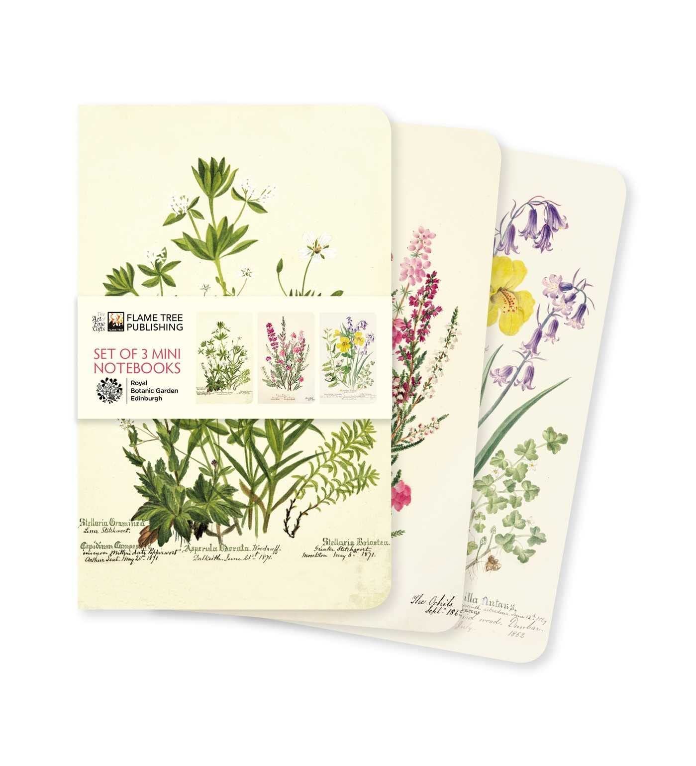 ROYAL BOTANIC GARDEN EDINBURGH MINI NOTEBOOKS SET (PB)
