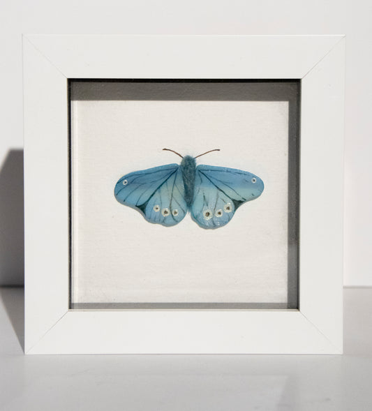 Glass Butterfly - blue