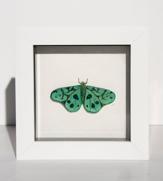 Glass Butterfly - green