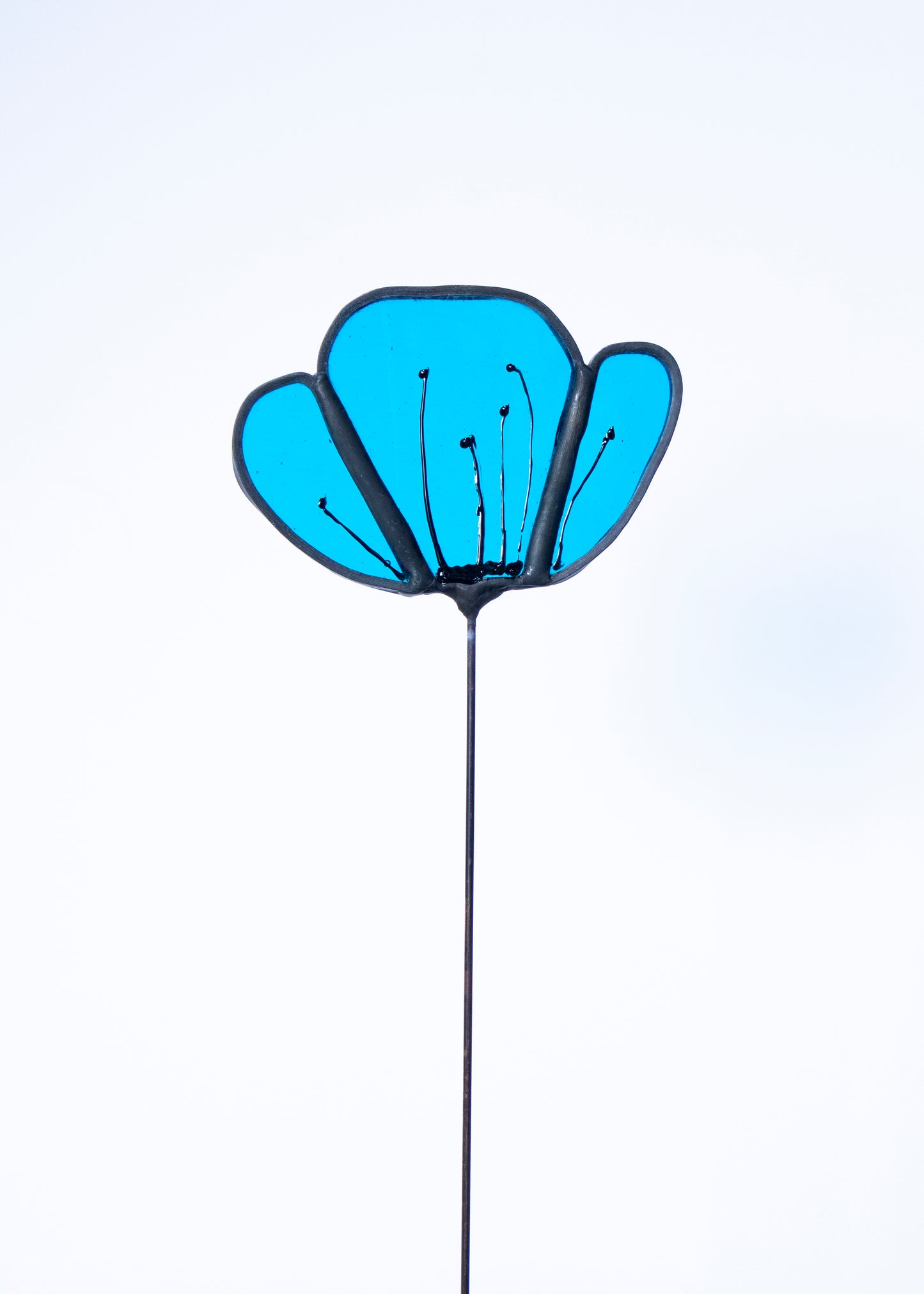 Clear Turquoise Flower with Black Edge