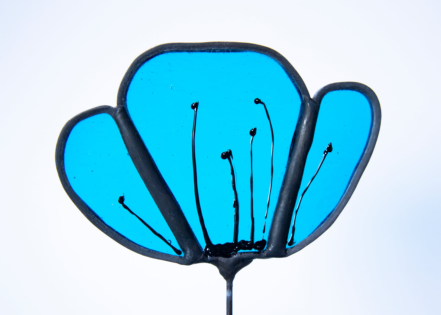 Clear Turquoise Flower with Black Edge