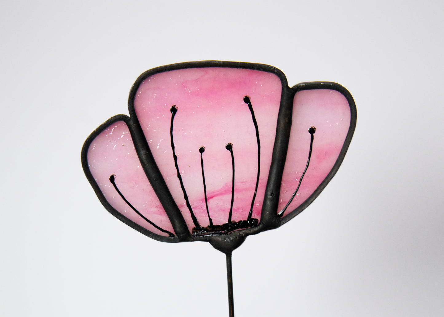 Opaque Pink Flower with Black Edge