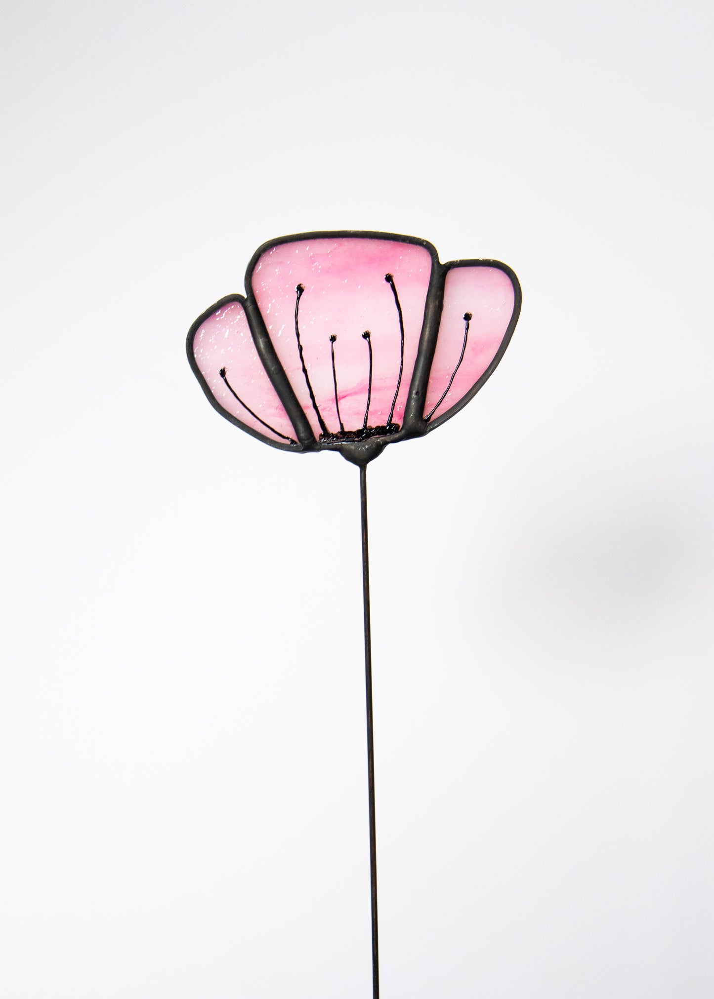 Opaque Pink Flower with Black Edge