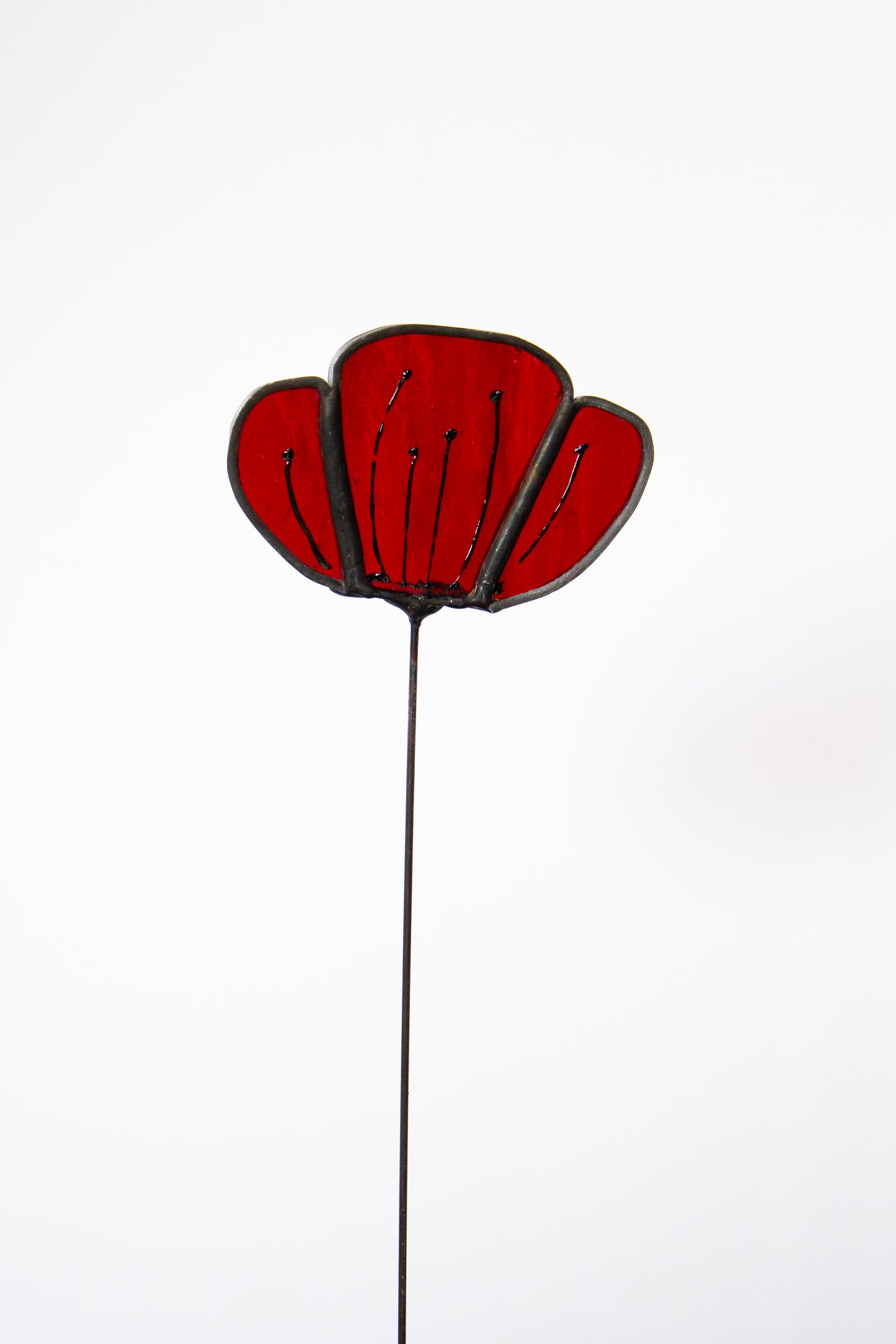 Clear Red Flower with Black Edge