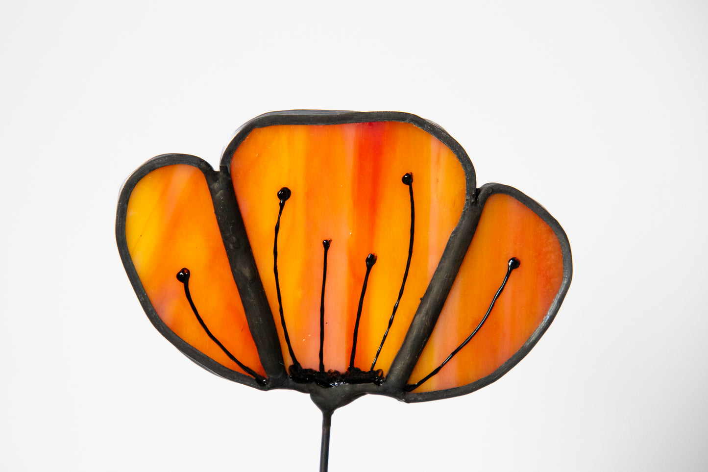 Opaque Orange Flower with Black Edge