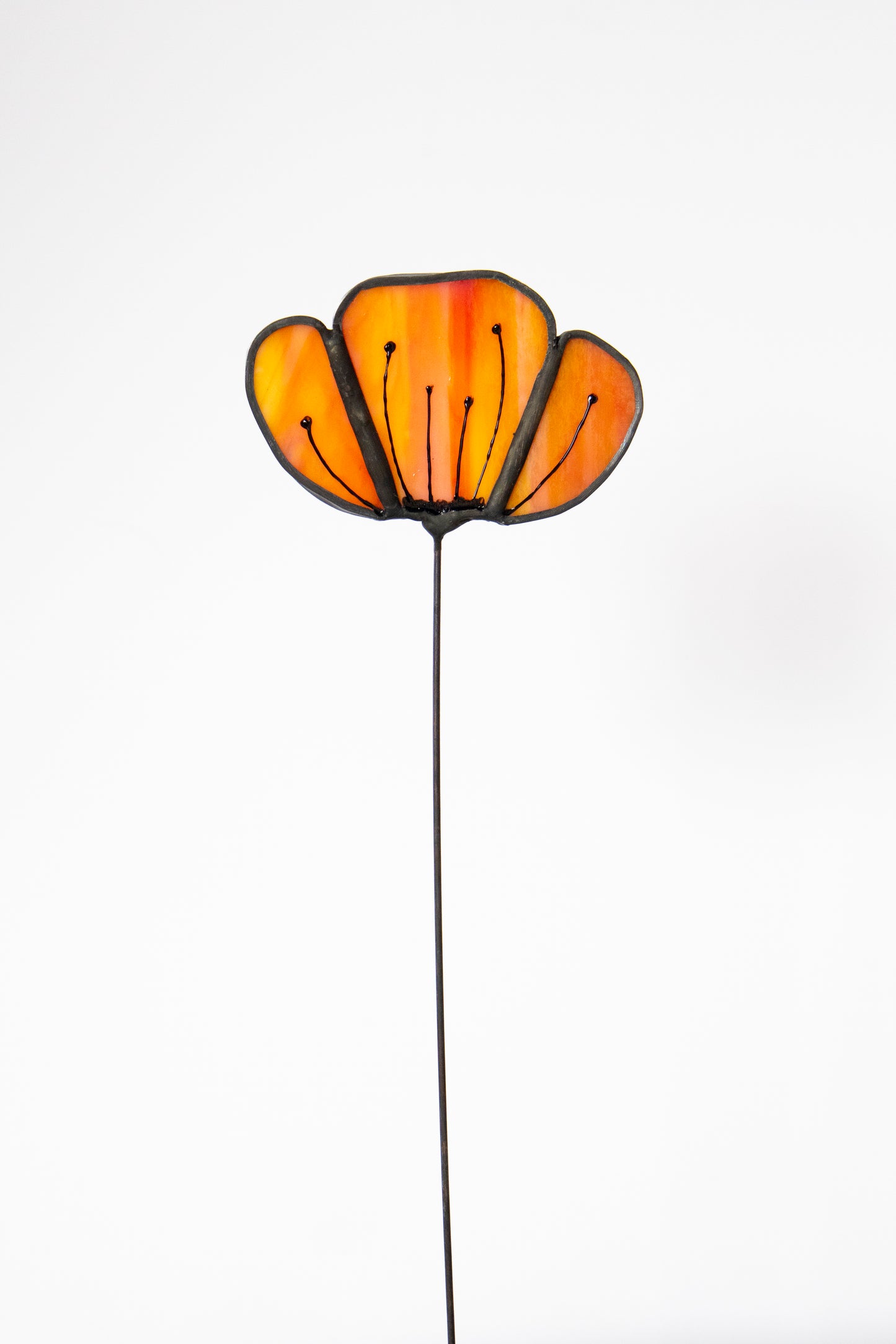 Opaque Orange Flower with Black Edge