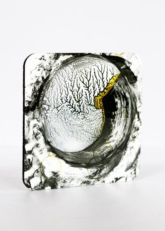 Chaos & Order Coaster